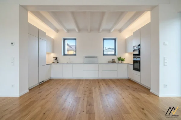 MV_2026-02-10_Dulova-ves_003_ai