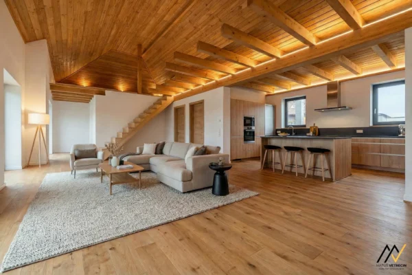 MV_2026-02-10_Dulova-ves_008_ai