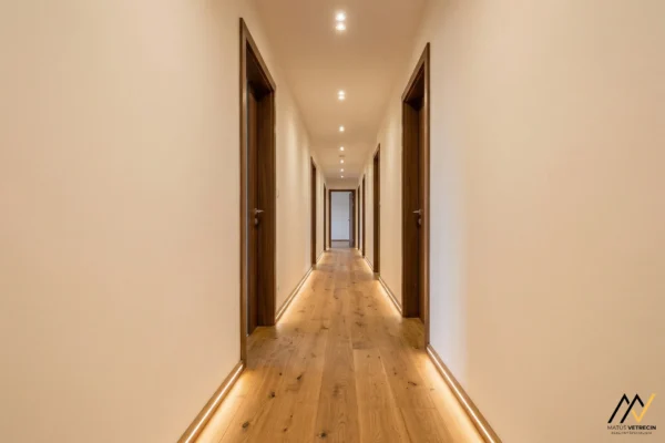 MV_2026-02-10_Dulova-ves_014_ai