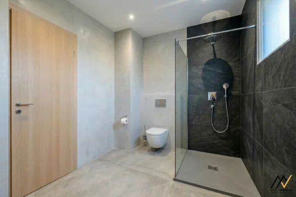 MV_2026-02-10_Dulova-ves_018_ai