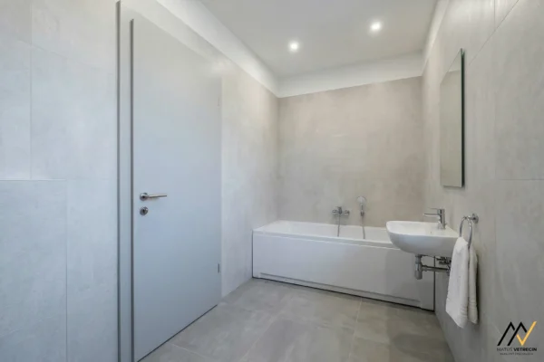 MV_2026-02-10_Dulova-ves_021_ai