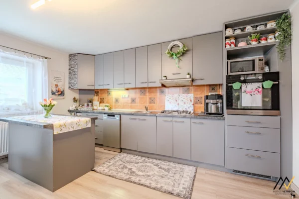 MV_2026-02-19_Licartovce_002