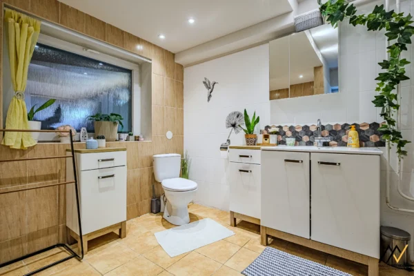 MV_2026-02-19_Licartovce_012