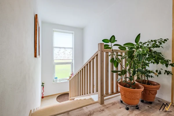 MV_2026-02-19_Licartovce_025