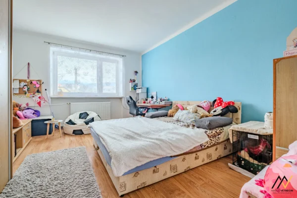 MV_2026-02-19_Licartovce_028